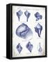 Indigo Shells II-Gwendolyn Babbitt-Framed Stretched Canvas