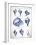 Indigo Shells II-Gwendolyn Babbitt-Framed Art Print