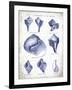 Indigo Shells II-Gwendolyn Babbitt-Framed Art Print