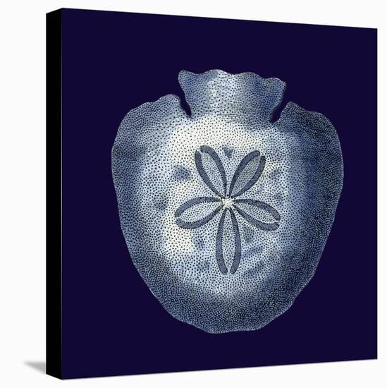 Indigo Shells III-Vision Studio-Stretched Canvas