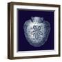 Indigo Shells III-Vision Studio-Framed Art Print