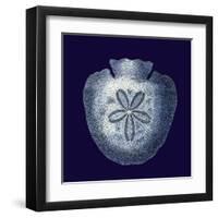 Indigo Shells III-Vision Studio-Framed Art Print