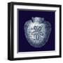 Indigo Shells III-Vision Studio-Framed Art Print