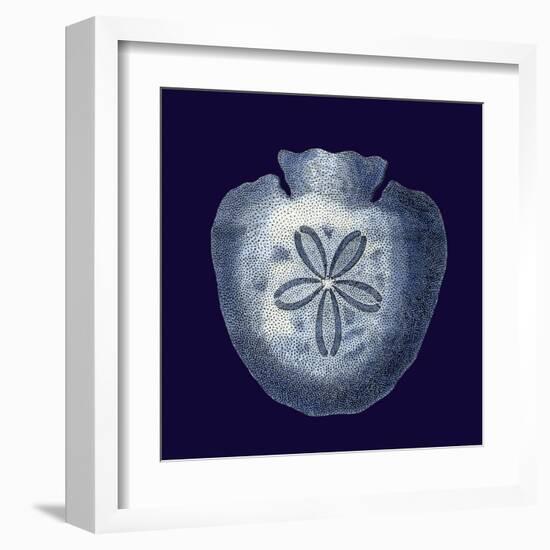 Indigo Shells III-Vision Studio-Framed Art Print