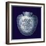 Indigo Shells III-Vision Studio-Framed Art Print