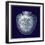 Indigo Shells III-Vision Studio-Framed Art Print