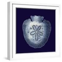 Indigo Shells III-Vision Studio-Framed Art Print