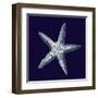 Indigo Shells IV-Vision Studio-Framed Art Print