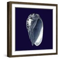 Indigo Shells V-Vision Studio-Framed Art Print