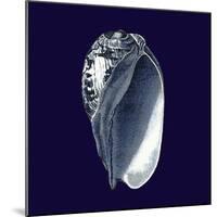 Indigo Shells V-Vision Studio-Mounted Art Print