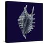 Indigo Shells VI-Vision Studio-Stretched Canvas