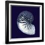 Indigo Shells VII-Vision Studio-Framed Art Print