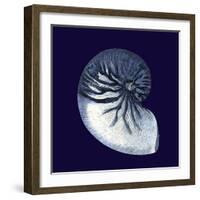 Indigo Shells VII-Vision Studio-Framed Art Print