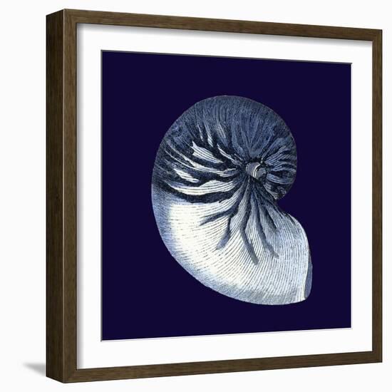 Indigo Shells VII-Vision Studio-Framed Art Print