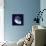 Indigo Shells VII-Vision Studio-Mounted Art Print displayed on a wall