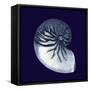 Indigo Shells VII-Vision Studio-Framed Stretched Canvas