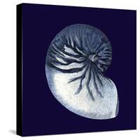 Indigo Shells VII-Vision Studio-Stretched Canvas