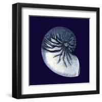 Indigo Shells VII-Vision Studio-Framed Art Print