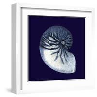 Indigo Shells VII-Vision Studio-Framed Art Print