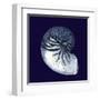 Indigo Shells VII-Vision Studio-Framed Art Print