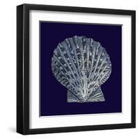 Indigo Shells VIII-Vision Studio-Framed Art Print