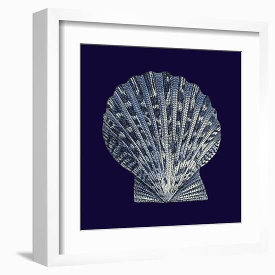 Indigo Shells VIII-Vision Studio-Framed Art Print