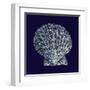 Indigo Shells VIII-Vision Studio-Framed Art Print