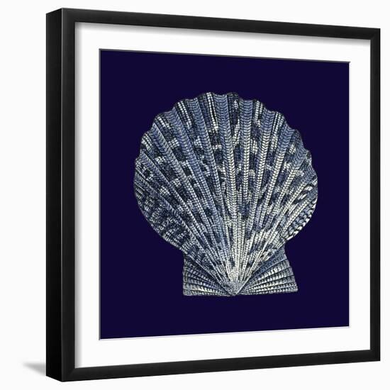 Indigo Shells VIII-Vision Studio-Framed Art Print