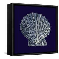 Indigo Shells VIII-Vision Studio-Framed Stretched Canvas