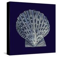 Indigo Shells VIII-Vision Studio-Stretched Canvas