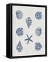 Indigo Shells-Aimee Wilson-Framed Stretched Canvas