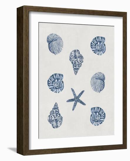 Indigo Shells-Aimee Wilson-Framed Art Print