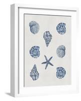 Indigo Shells-Aimee Wilson-Framed Art Print