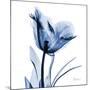 Indigo Softened Tulip-Albert Koetsier-Mounted Art Print