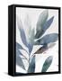 Indigo Sprig I-Isabelle Z-Framed Stretched Canvas