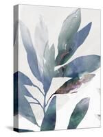 Indigo Sprig I-Isabelle Z-Stretched Canvas