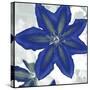 Indigo Star II-Sharon Chandler-Stretched Canvas