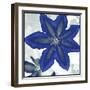 Indigo Star II-Sharon Chandler-Framed Art Print