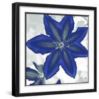 Indigo Star II-Sharon Chandler-Framed Art Print