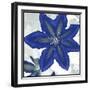 Indigo Star II-Sharon Chandler-Framed Art Print