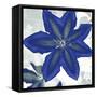 Indigo Star II-Sharon Chandler-Framed Stretched Canvas