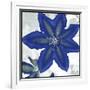 Indigo Star II-Sharon Chandler-Framed Art Print