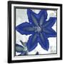 Indigo Star II-Sharon Chandler-Framed Art Print