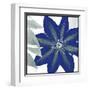 Indigo Star III-Sharon Chandler-Framed Art Print