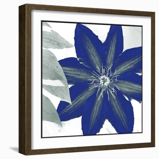 Indigo Star III-Sharon Chandler-Framed Art Print