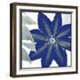 Indigo Star III-Sharon Chandler-Framed Art Print