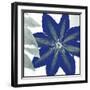 Indigo Star III-Sharon Chandler-Framed Art Print