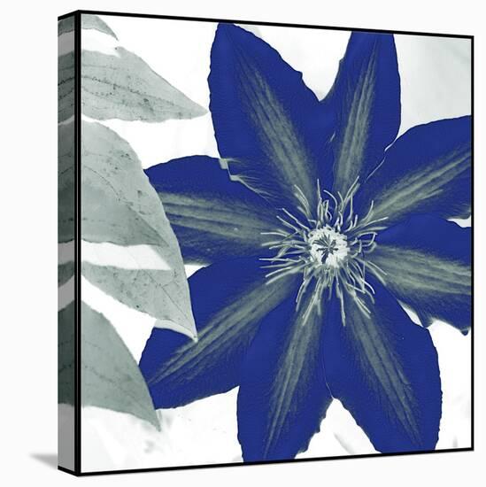 Indigo Star III-Sharon Chandler-Stretched Canvas