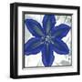 Indigo Star IV-Sharon Chandler-Framed Art Print