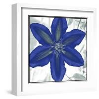 Indigo Star IV-Sharon Chandler-Framed Art Print